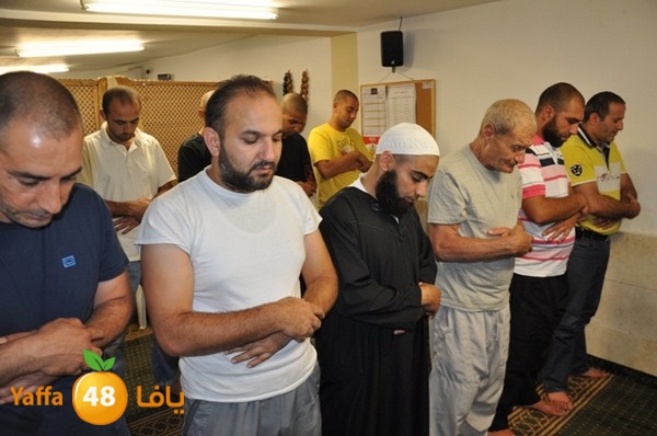 trawe7 fate7 mosque 715 (31).JPG